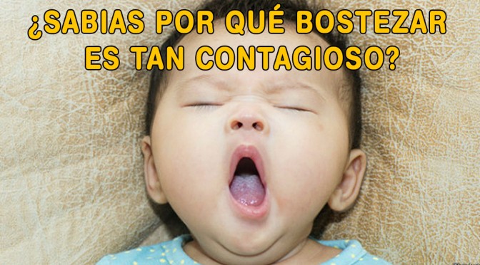 bostezar