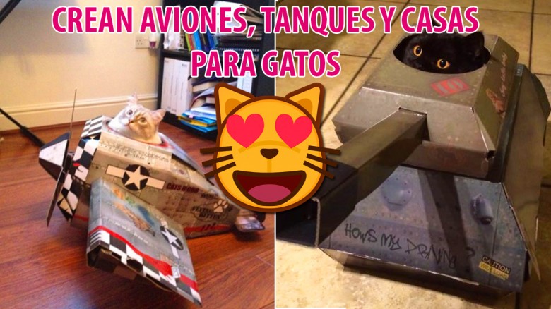 ¿Tienes gatos? ¡Entonces esto es para ti!