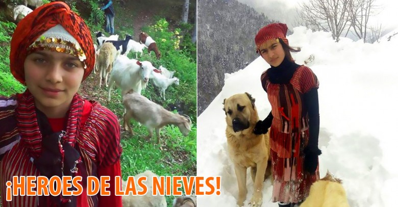 Esta valiente chica salvó la vida de una de sus cabras y su recién nacido junto a su perro