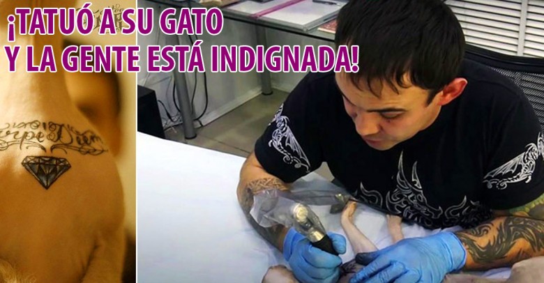 Un tatuador ruso tatúa a su gato esfinge e internet se pone furioso
