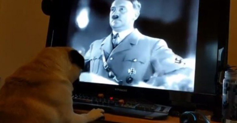 Lo arrestaron por enseñarle el saludo Nazi al perro de su novia