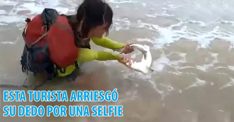 Joven turista recibe merecida mordida de tiburón