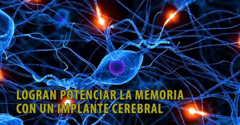 Logran potenciar la memoria con un implante cerebral