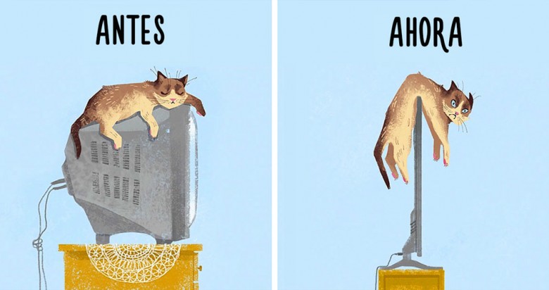 Antes Y Ahora: Cómo la Tecnología ha cambiado la vida de los Gatos