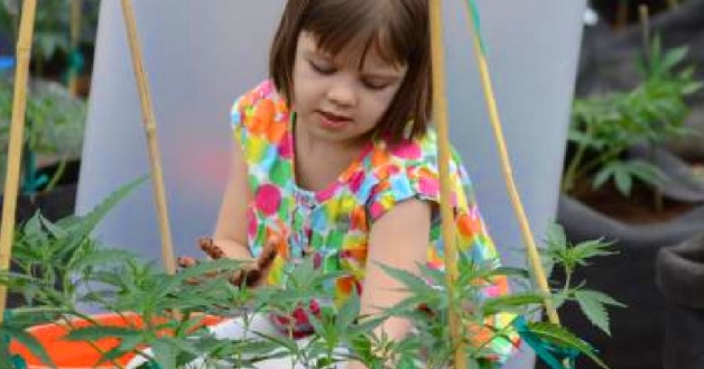 Mira lo que sucede cuando una pequeña niña le da una probada a la Marihuana…