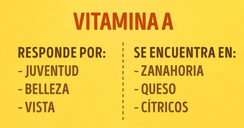 Esto es todo lo que querías saber de las vitaminas