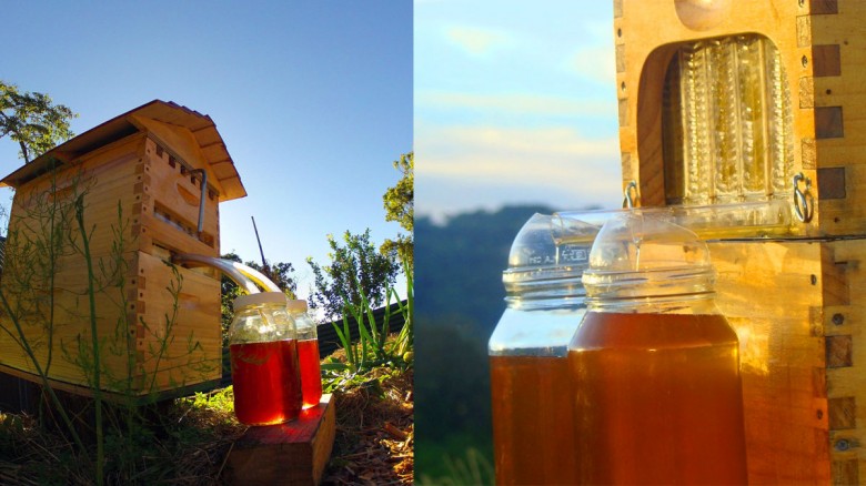 Este es un invento genial: Una colmena que recoge la miel sola!