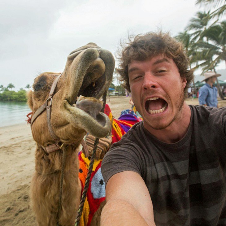 Hombre-se-toma-selfies-con-animales-2-730x730