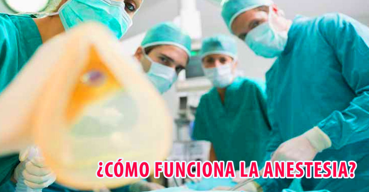 ¿Cómo funciona la anestesia en nuestro cuerpo? – Sonrie Para Vivir Mejor