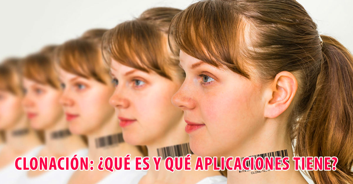 Clonación ¿Qué es y qué aplicaciones tiene?