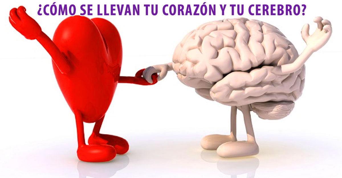 ¿Qué tan conectados están tu corazón y tu cerebro?